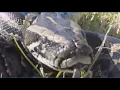 Snake hunter bags 96 pythons wins 10K in Florida Everglades Challenge