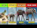 Each Zunesha s Speculative Life Stages Explained