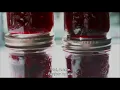 Agatha's Almanac | Trailer