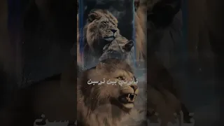 ١٨ يونيو ٢٠٢٥ 