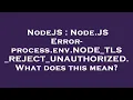 NodeJS Node JS Error - process env NODE