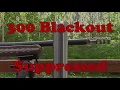 300 AAC Blackout - doing what it does best