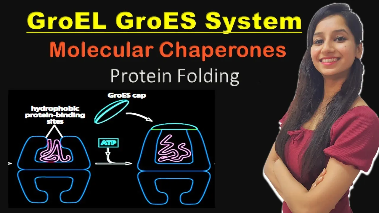 GroES GroEL Mechanism I Molecular Chaperones I Chaperonin Assisted Protein Folding