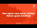 Coolkiid Da Vocalist - Inhliziyo (Lyrics)