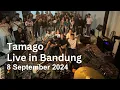 Lagu Tamago Live in Bandung 2024