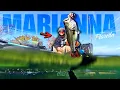 I Caught the BIGGEST ONE of My Life in Florida s Most INSANE Spring Merritts Mill Pond Marianna FL