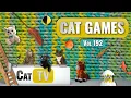 CAT Games | Ultieme Cat TV-compilatie Vol 192 | 8 UUR 🐝🐞🦋🦎🦜🐜🐭🧵