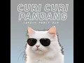 CURI CURI PANDANG (Remix)