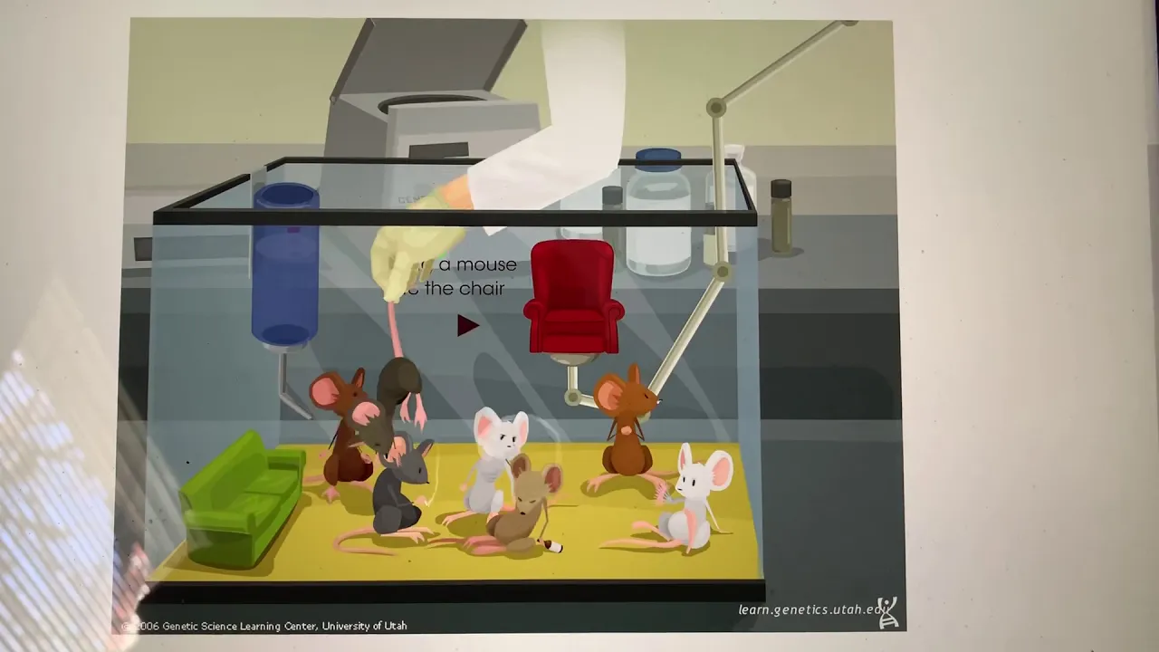 U of Utah Mouse Party