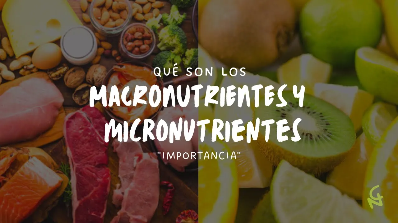 Hablemos sobre los MACRONUTRIENTES y MICRONUTRIENTES