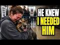 He walked into the room and chose his new owner