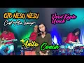 Download Lagu Ojo Nesu Nesu - Dory Harsa - Cipt Alex Lamajor , Versi Koplo Kalem  + Jaranan/Cover Anita Conan