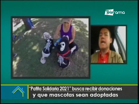 Patita Solidaria 2021 busca recibir donaciones y que mascotas sean adoptadas