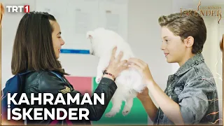  skender yavru k pe i kurtard tozkoparan skender unutulmaz sahneler