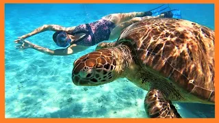 SAILING the BLUEWATER of New Caledonia – Ep 69