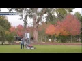 News - Medford Leaf Collection