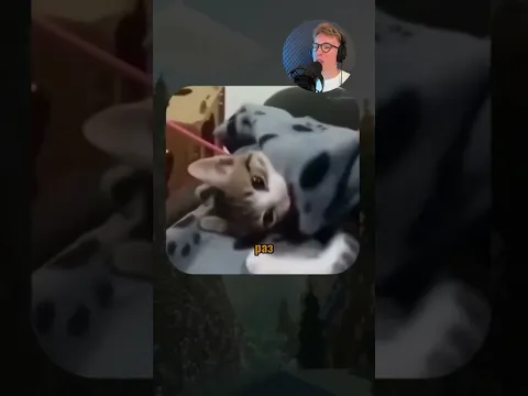 ВИРУСНЫЕ ВИДЕО / Собака впервые увидела снег ❄️