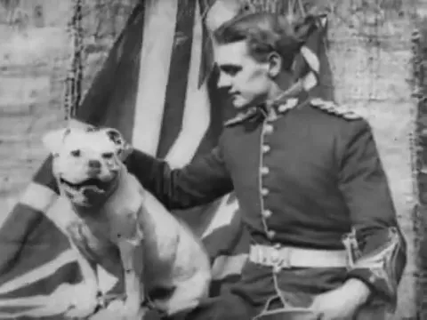 How a British Bulldog Saved the Union Jack (1906) Walturdaw