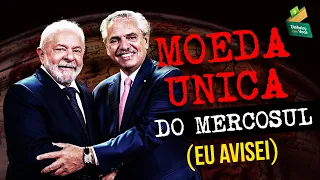 Os PERIGOS da Moeda ÚNICA para o Mercosul