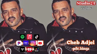 شيخ الشيوخ العجال Ft حبيبو قلبي عدويا لايف مستغانم 