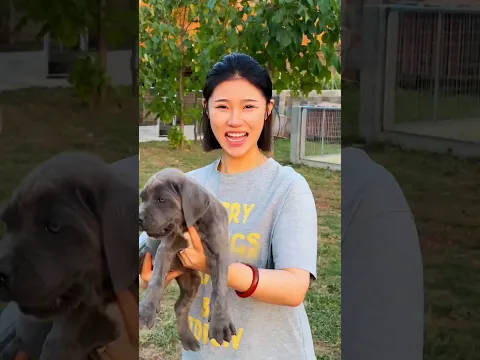 The Dog That Grew Into a Giant