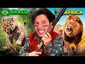 Lagu Caçando ANIMAIS pelo MUNDO TODO!! (The Hunter Call of the Wild)