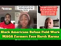 Download Lagu MAGA Farmers Beg for Help After Black Workers Say ‘No More Field Work