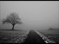 Falls Of Rauros   Silence  By Psycelek