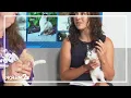 SpokAnimal provides insight on adoption process this National Kitten Day