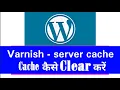 How to Manually Clear Varnish Cache Apache Server