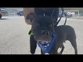 One Good Thing Pound Buddies New Facility