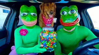 life of sammie and summer frog surprises rubber colmillo piedras que siempre flotan