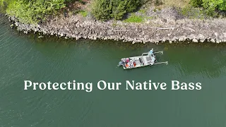 Protecting Our Native Bass