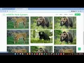 Wildlife Park System using Python Django PythonCodeVerse