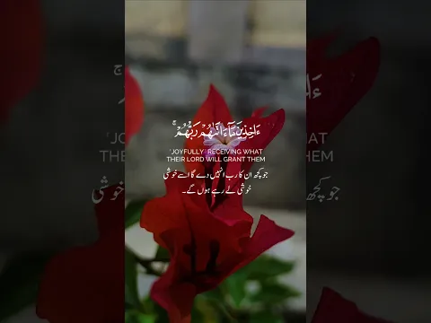 "This Recitation Will Shake Your Soul – Most Emotional Quran Tilawah Ever" #shaikh #hafiz