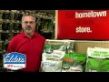 Elder s Ace Hardware Re-seeding your Lawn