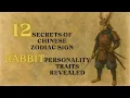 12 Secrets About the Rabbit Zodiac Sign You Never Knew Chinese Astrology Revealed