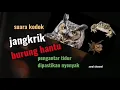 Download Lagu suara kodok jangkrik dan burung hantu pengantar tidur dipastikan tidurnya nyenyak