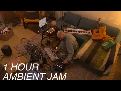 ambient jam for relaxing with plastic birds