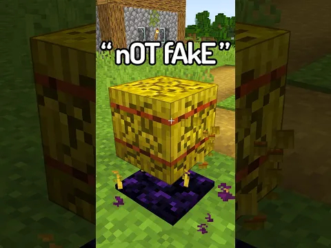 I Caught The STUPIDEST Fake Minecraft Speedrun