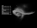 Flocking behaviour - Compute shader Unity