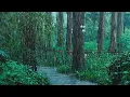 Download Lagu Suara Hujan untuk Tidur - Suara Hujan Dan Petir - Untuk Terapi Tidur Dan Relax
