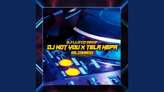 Download DJ Not Now x Tela Hepa Slowed MP3