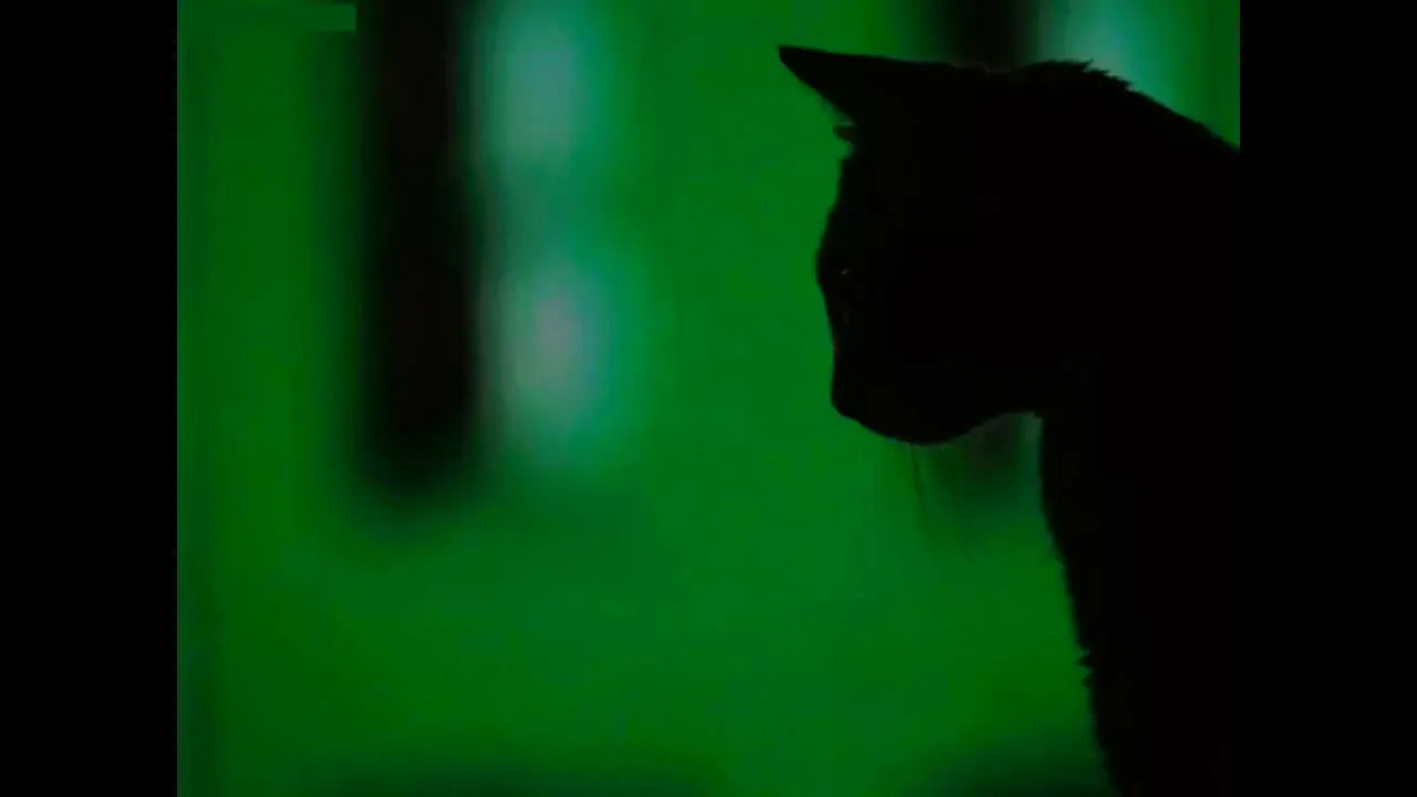 Jvla-such a whore (slowed)