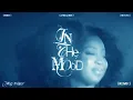 Anna Lunoe & Mincy - In The Mood (feat. DEVAURA) (Meg Ward Remix) (Official Visualiser)