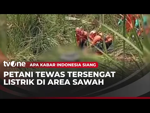 Hendak Cari Ikan, Petani di Tuban Tewas Tersengat Listrik
