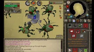 OSRS Kalphites Slayer Guide - Cannon