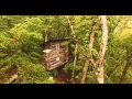 The Treehouse