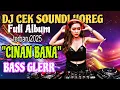 Download Lagu DJ CINAN BANA TRAP MIDDLE NRONTOK HOREG FULL ALBUM VIRAL FYP KROTO TERBARU_2025 COCOK BUAT CEK SOUND