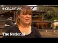 More B C wildfire evacuees head home some to relief others to ruin
